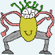 فرح