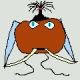 nushin